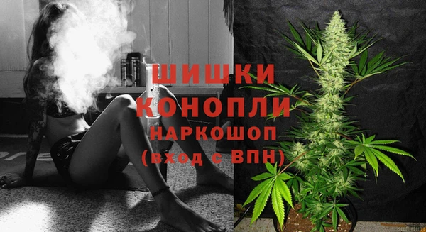 ГАЛЛЮЦИНОГЕННЫЕ ГРИБЫ Магас
