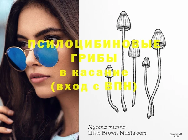 apvp Белокуриха